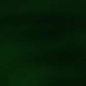 Meet your Posher, Zenya